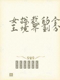 女总裁的全能兵王境界划分