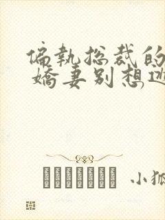 偏执总裁的囚宠 娇妻别想逃