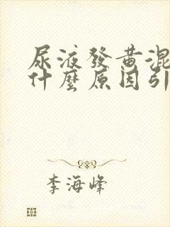 尿液发黄混浊是什么原因引起的