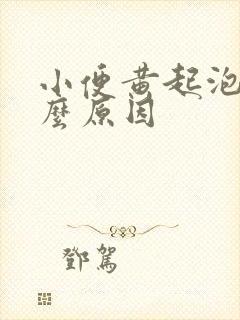 小便黄起泡是什么原因