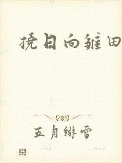 挠日向雏田脚心