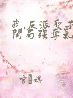 我,反派圣子,开局强夺气运