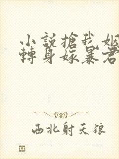 小说抢我姻缘?转身嫁暴君夺后位阅读