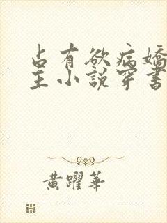 占有欲病娇双男主小说穿书