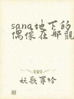 sana地下的偶像在哪观看
