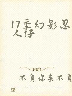 17季幻影忍者人仔