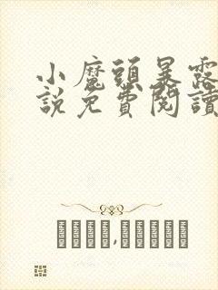 小魔头暴露了小说免费阅读