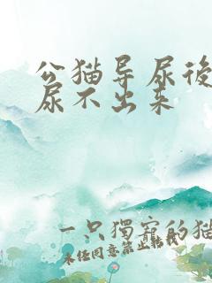 公猫导尿后还是尿不出来