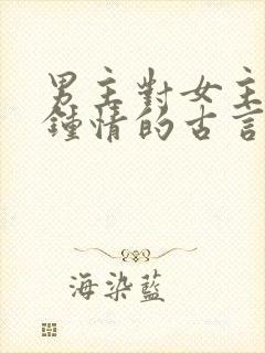 男主对女主一见钟情的古言