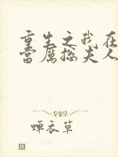 重生之我在厉家当厉总夫人2