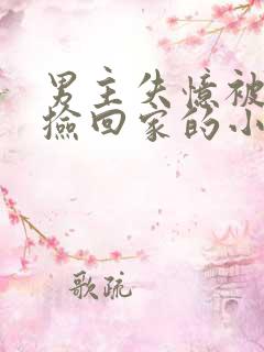 男主失忆被女主捡回家的小说