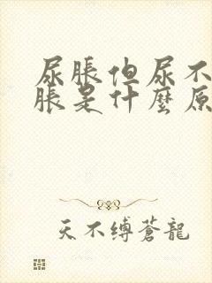 尿胀但尿不多发胀是什么原因