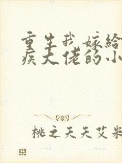 重生我嫁给了残疾大佬的小说