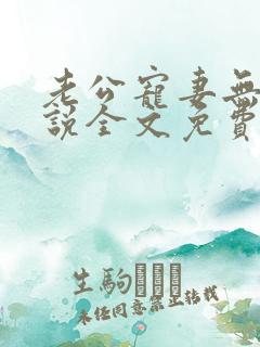 老公宠妻无度小说全文免费