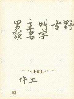 男主叫方野的小说名字