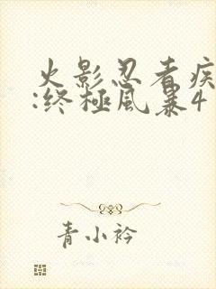 火影忍者疾风传:终极风暴4