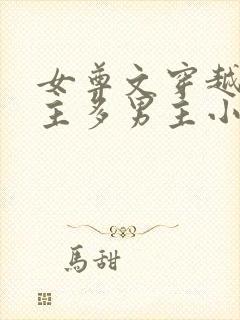 女尊文穿越一女主多男主小说完结