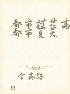 都市护花高手在都市夏天