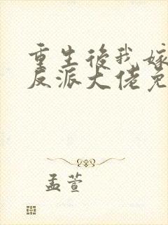 重生后我嫁给了反派大佬免费阅读