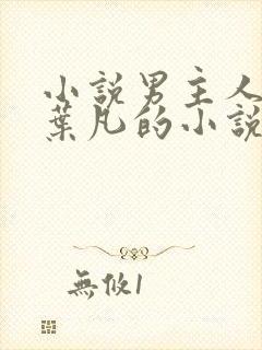 小说男主人公叫叶凡的小说名字