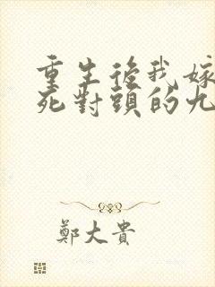 重生后我嫁给了死对头的九叔