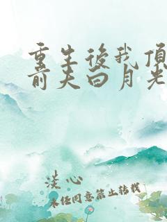 重生后我顶替了前夫白月光大概剧情