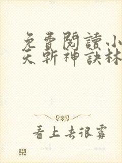 免费阅读小说九天斩神诀林辰