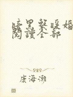 暗黑系暖婚小说阅读全部