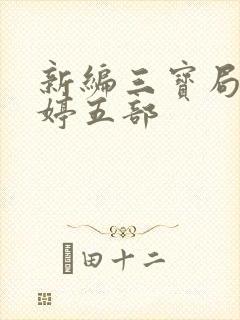 新编三宝局长许婷五部