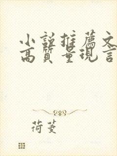 小说推荐文笔好高质量现言