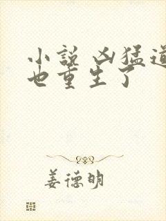 小说 凶猛道侣也重生了