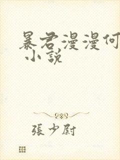 暴君漫漫何其多 小说