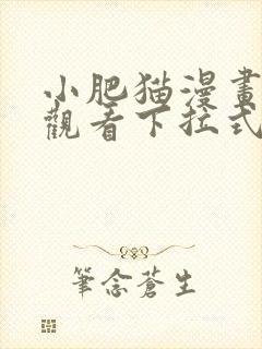 小肥猫漫画免费观看下拉式漫画