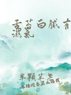 舌苔白腻有齿痕湿气