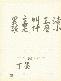 男主叫王浩的小说是什么小说