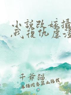 小说改嫁摄政王,我复仇虐渣妹