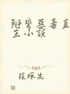 掰弯恶毒直男男主小说