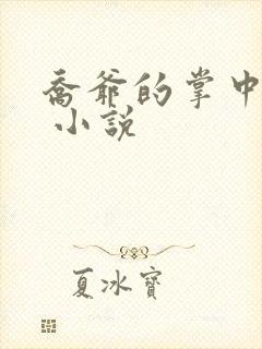 乔爷的掌中宠妻 小说