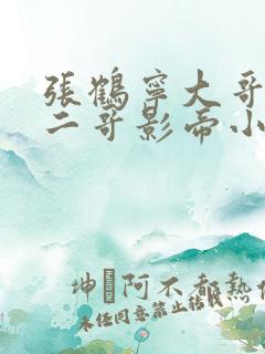 张鹤宁大哥总裁二哥影帝小说在线阅读