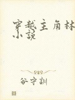 穿越主角林川的小说