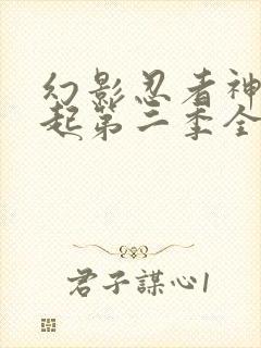 幻影忍者神龙崛起第二季全集