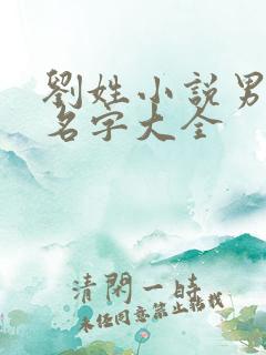 刘姓小说男主角名字大全