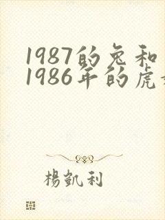 1987的兔和1986年的虎婚姻状况