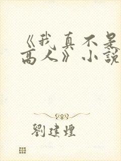 《我真不是隐世高人》小说
