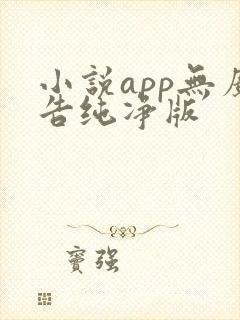 小说app无广告纯净版