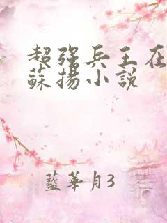 超强兵王在都市苏扬小说