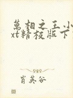 万相之王小说txt精校版下载