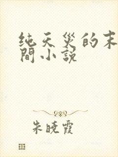 纯天灾的末世空间小说