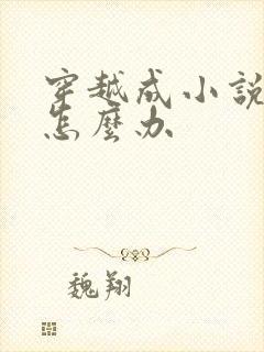 穿越成小说反派怎么办