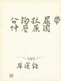 公狗拉尿带血是什么原因